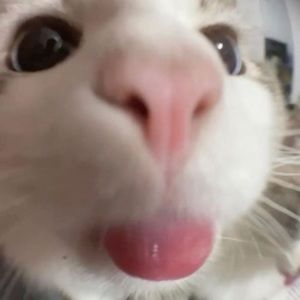 Meet your Posher, Hailey